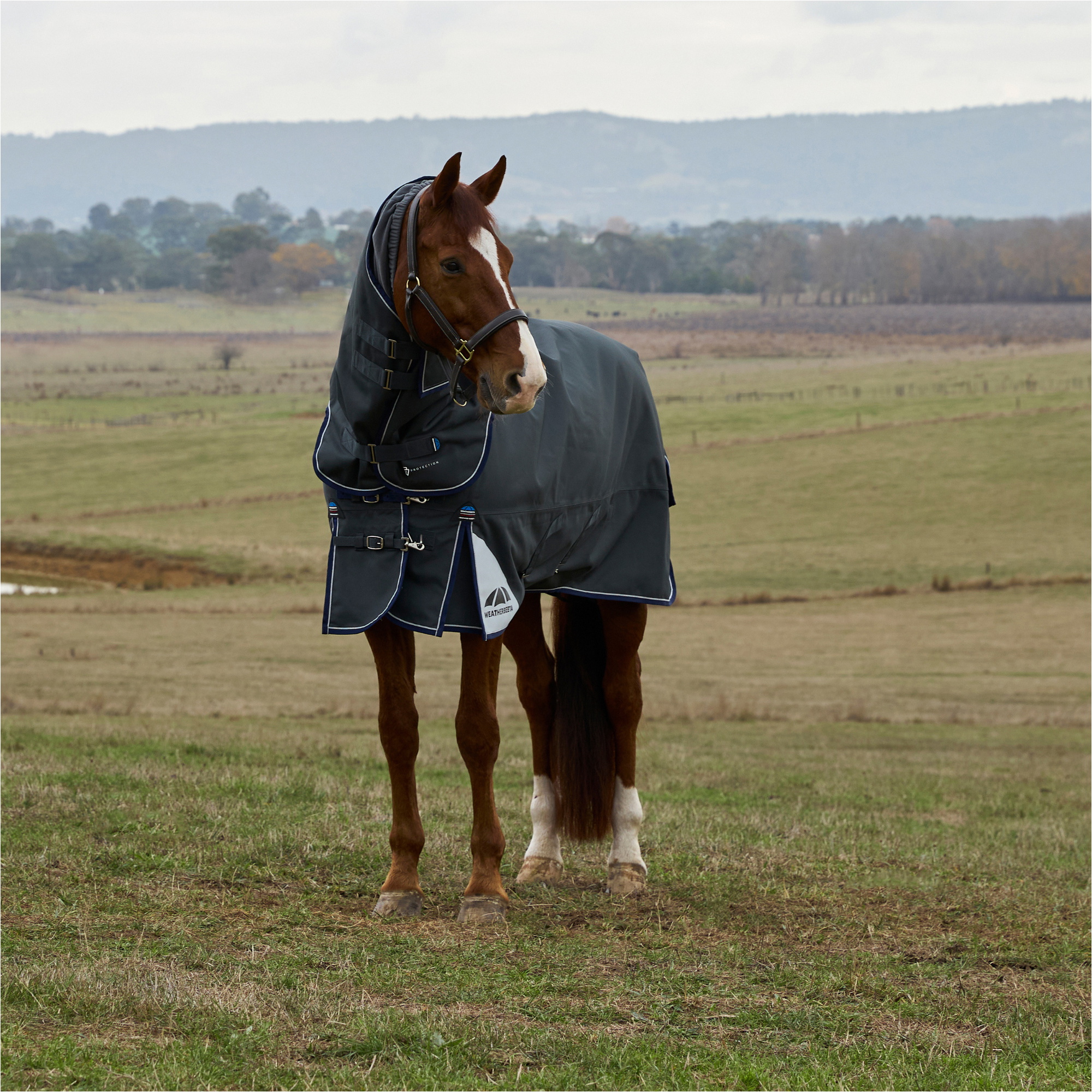 2025 Weatherbeeta Comfitec Ultra Turnout Detach-A-Neck 1028772 - Charcoal